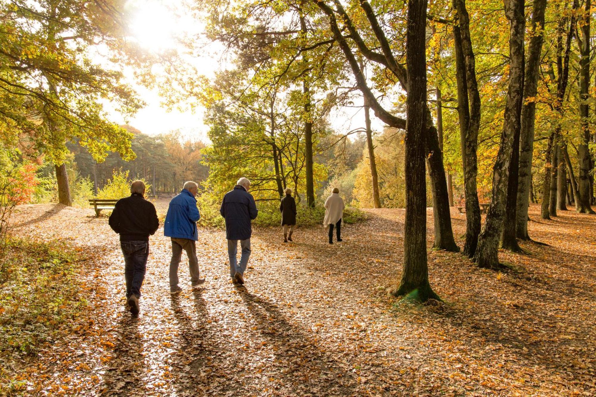 Molecaten Park De Leemkule Hattem Exterior foto