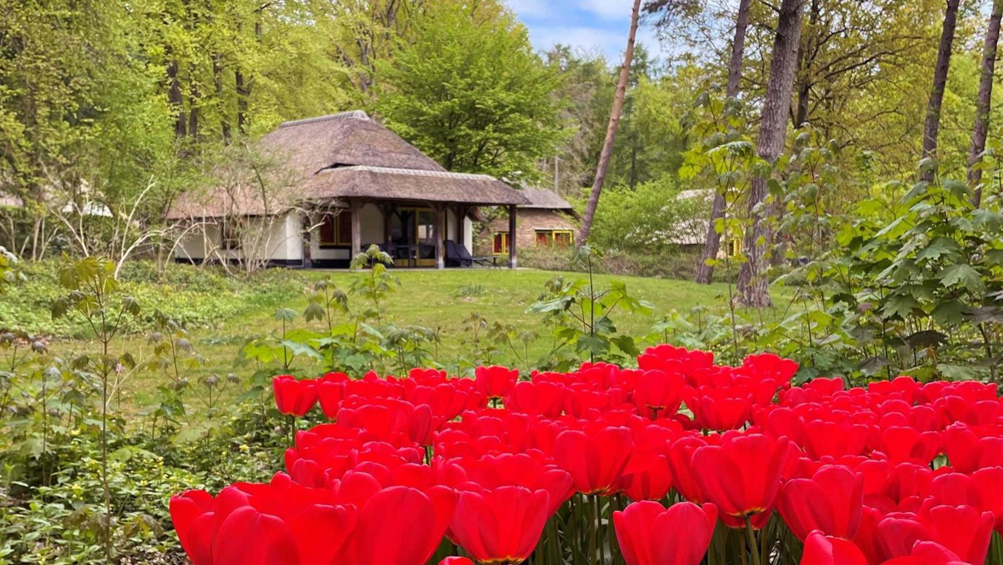 Molecaten Park De Leemkule Hattem Cameră foto