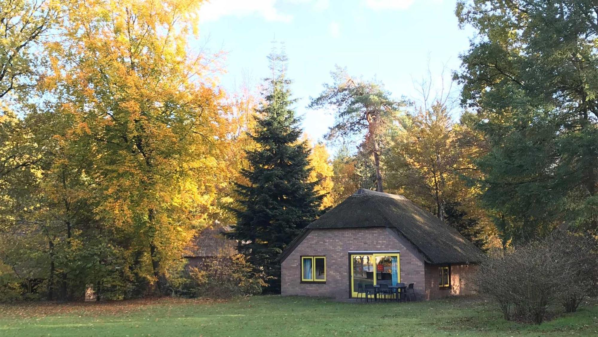 Molecaten Park De Leemkule Hattem Cameră foto