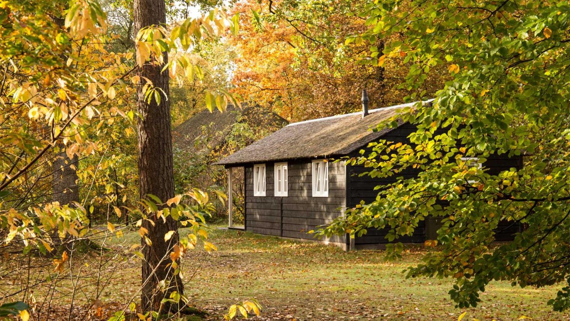 Molecaten Park De Leemkule Hattem Cameră foto